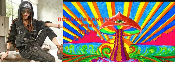 твердый Алексеевка