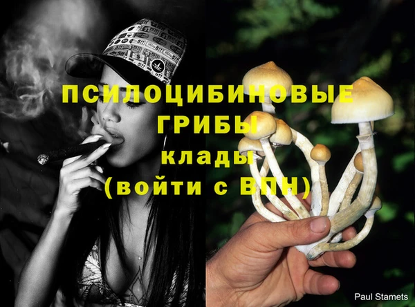 твердый Алексеевка
