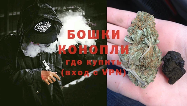 бошки Алексин