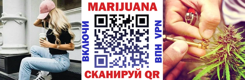 кракен вход  Северская  Каннабис сатива 